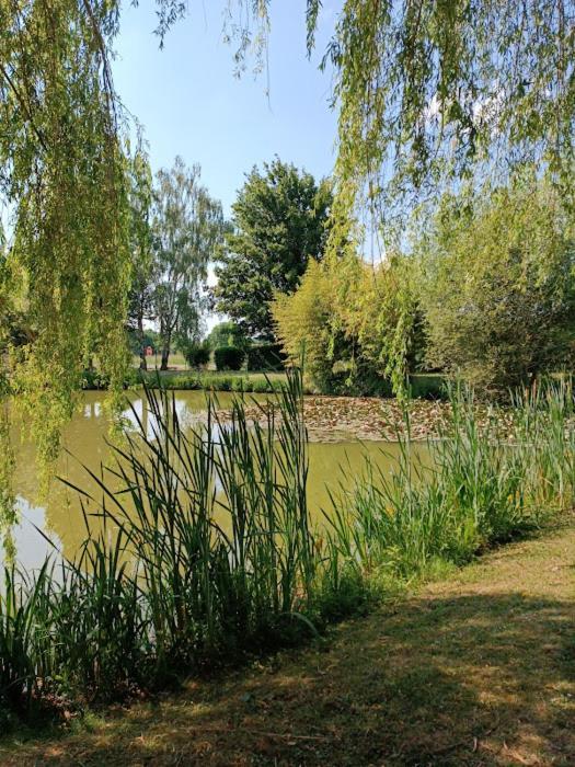 Comme A La Maison Pres Des Chateaux De La Loire Feings  Bagian luar foto