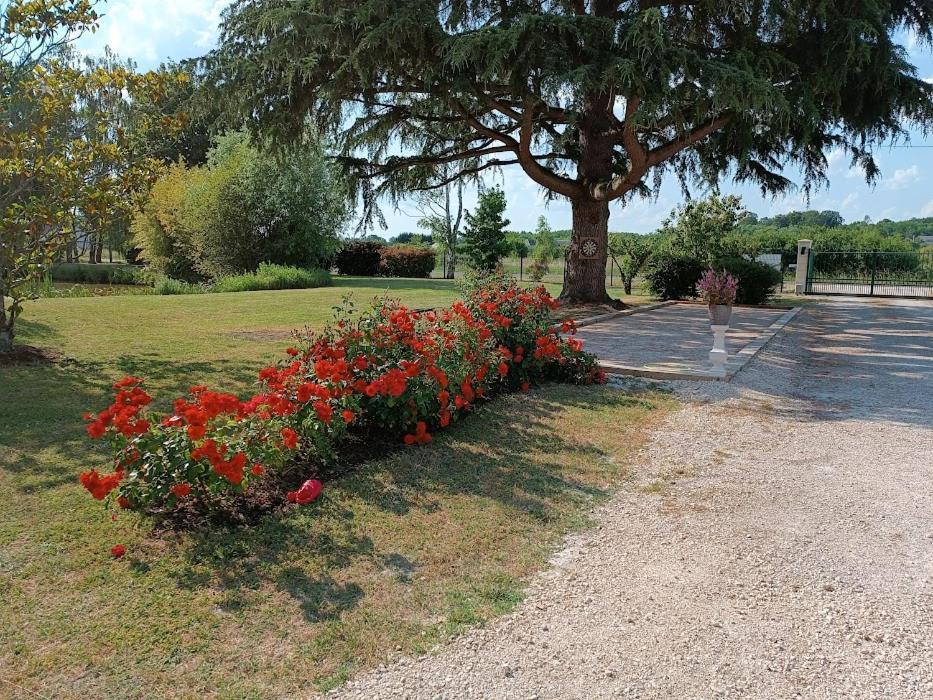 Comme A La Maison Pres Des Chateaux De La Loire Feings  Bagian luar foto