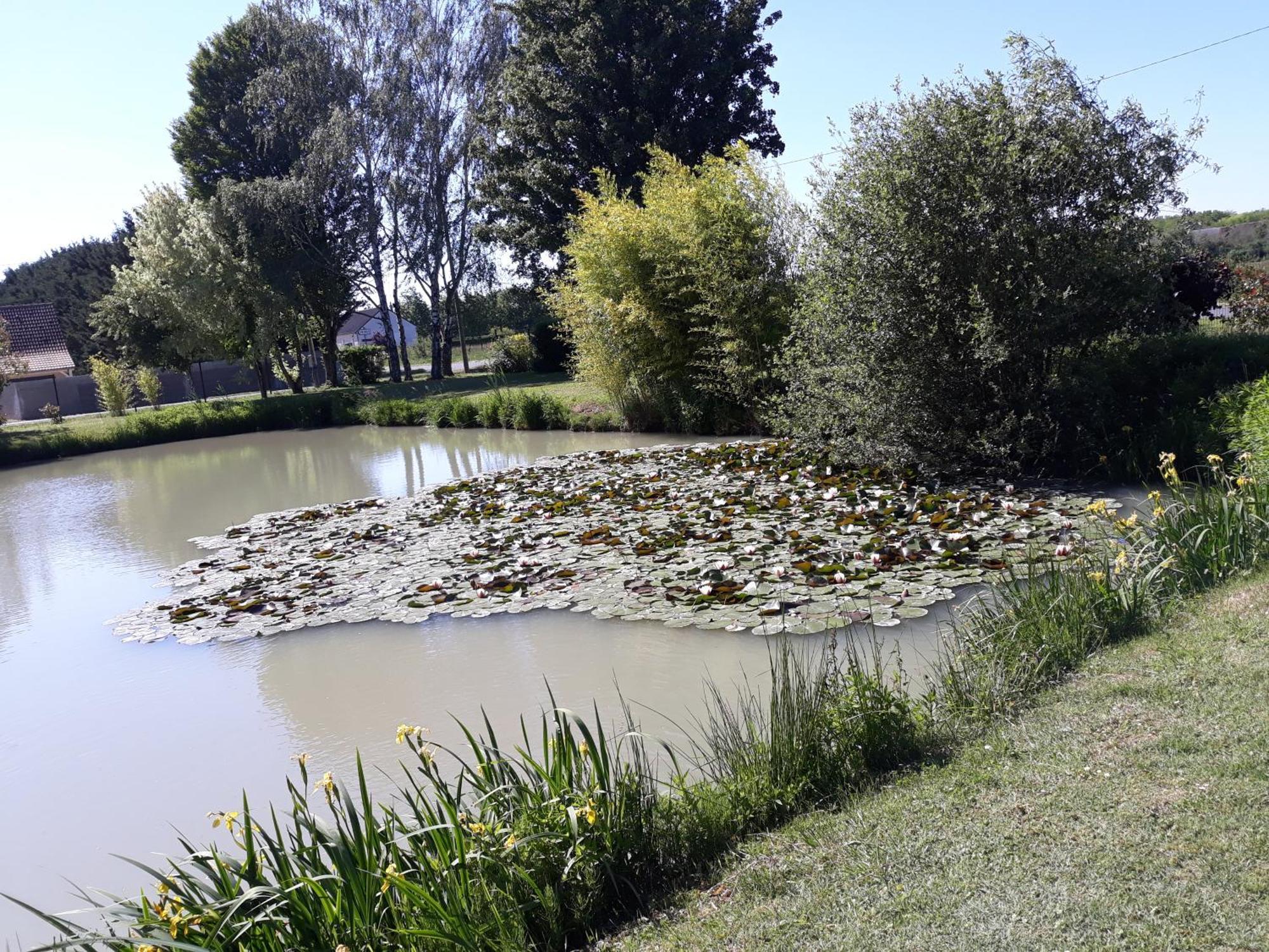 Comme A La Maison Pres Des Chateaux De La Loire Feings  Bagian luar foto